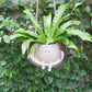 🍃Творчески смола висящи усмихнат Planter