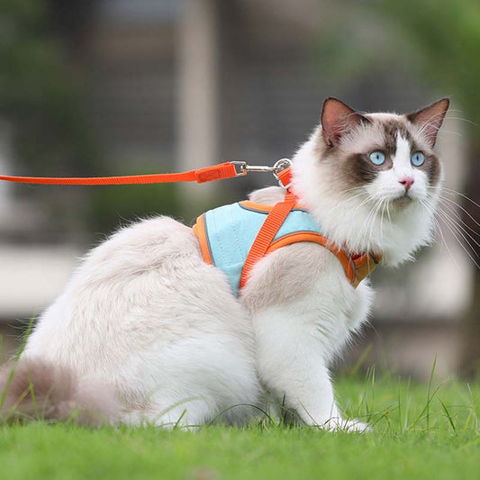 🐱Отразяваща котешка каишка с повод против бягство